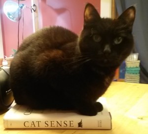 cat sitting on book titled cat sense
