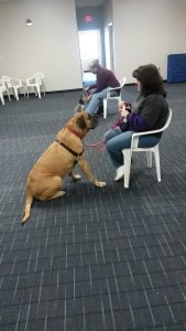 woman sitting in a plastic chair with dog sitting facing her