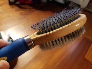 dog brush