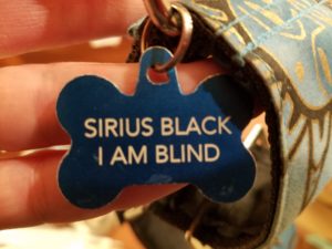 Dog tag reading Sirius Black. I am blind.