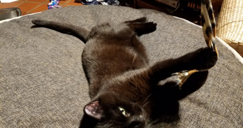 Recognizing Our Limitations